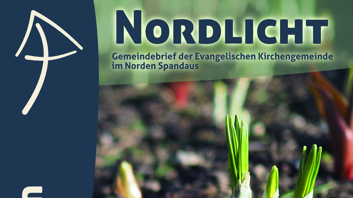 Nordlicht Titel 2026